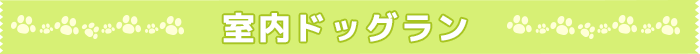 室内ドッグラン