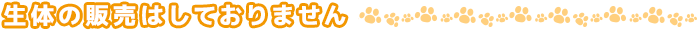 生体の販売はしておりません