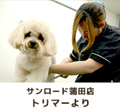 サンロード蒲田店トリマーより